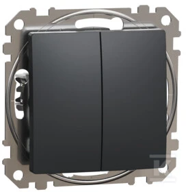 „Schneider Electric Sedna Design“, dvigubas mygtukas, juodas antracitas