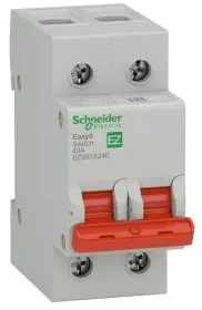 Schneider EZ9S16240 Rozłącznik izolacyjny 40A 2P Easy9 Pro EZ9S16240
