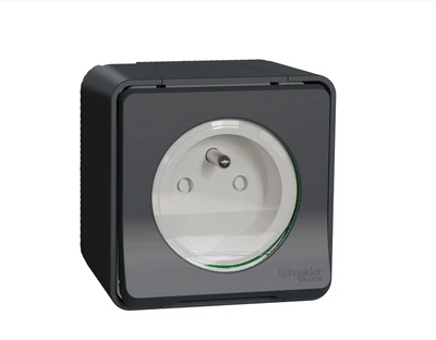 Schneider Electric Mureva Style Socket 2P+PE antracito varžtų gnybtai MUR36030