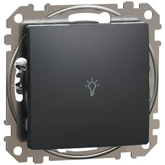 Schneider Electric Sedna Design & Elements Light mygtukas juoda antracito SDD114132
