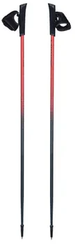 Šiaurietiško ėjimo lazdos Viking Pro-Trainer 120 cm raudona-juoda 650-20-7879-34-120