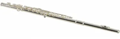 Stagg WS-FL211S - C fleita + dėklas