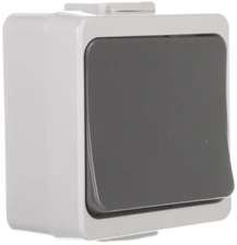 Timex Elektro WNT-1J-b/S SZ JANTAR-bis Vienas jungiklis su apšvietimu n/t IP44 rutulinis WNT-1J-b/S