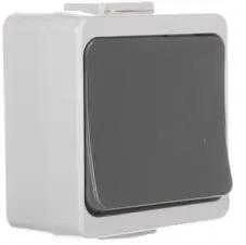 Timex Elektro WNT-1J-b/S SZ JANTAR-bis Vienas jungiklis su apšvietimu n/t IP44 rutulinis WNT-1J-b/S