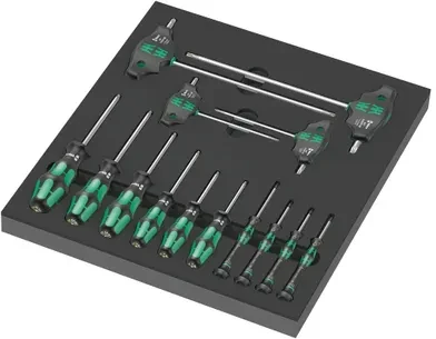 „Wera“ PUTOLŲ Įdėklas SU ATKUKTUMIS TORX VARŽTAMS IR VARŽTAMS 14CZ,