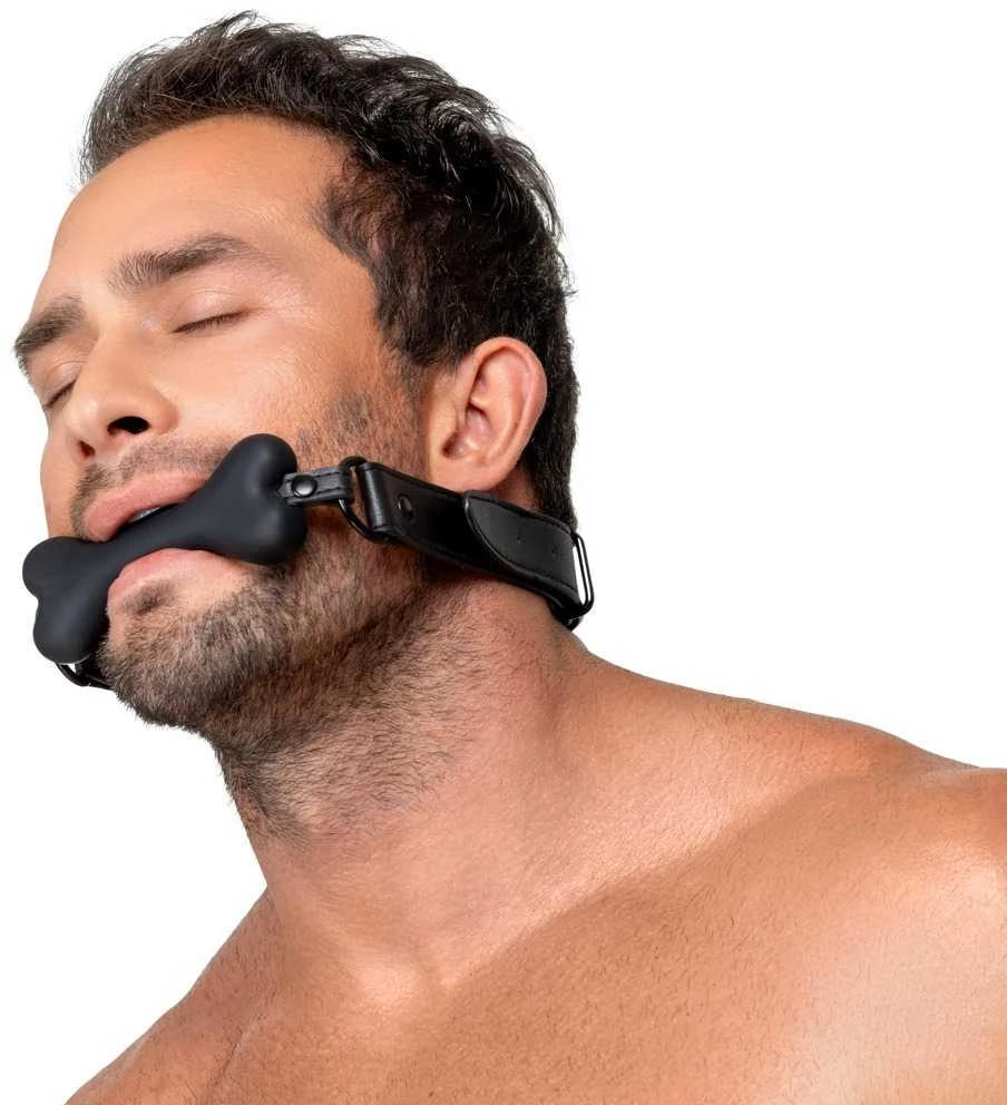 Bad Kitty Gag Dog Bone
