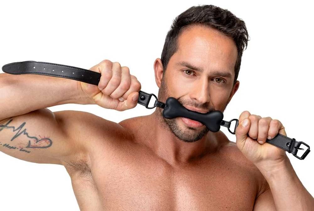 Bad Kitty Gag Dog Bone