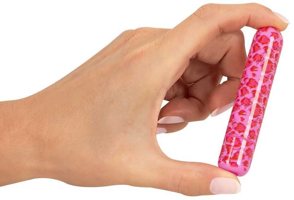 Gražios širdies Leo mini vibratorius