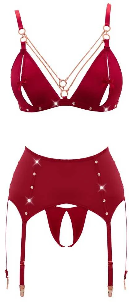 Abierta Fina Bra and Suspender Set Raudona XL