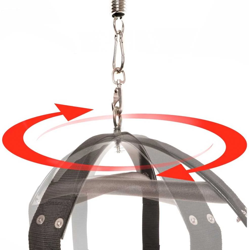 Pipedream FFS Spinning Fantasy Swing