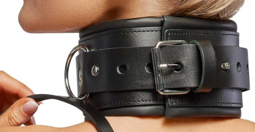 Collar Odinis antkaklis ir pavadėlis