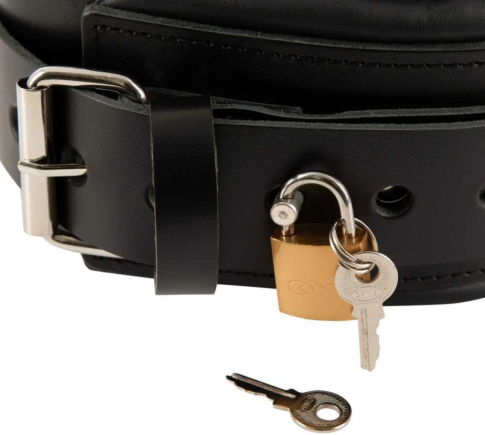 Collar Odinis antkaklis ir pavadėlis