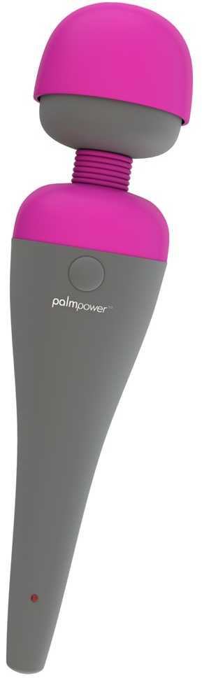 Palm Power PalmPower Massager
