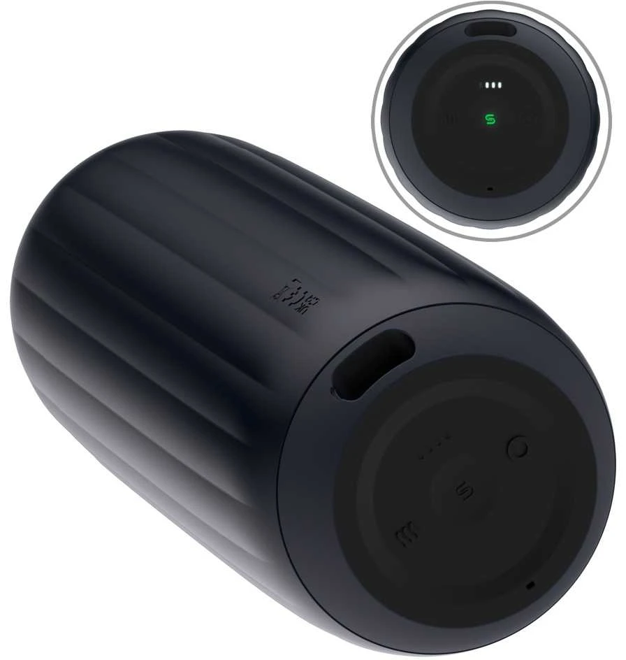 Svakom Sam Neo 2 Pro