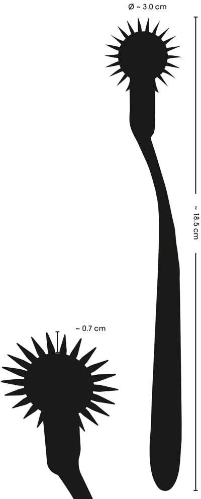 Single Pinwheel Sidabrinis