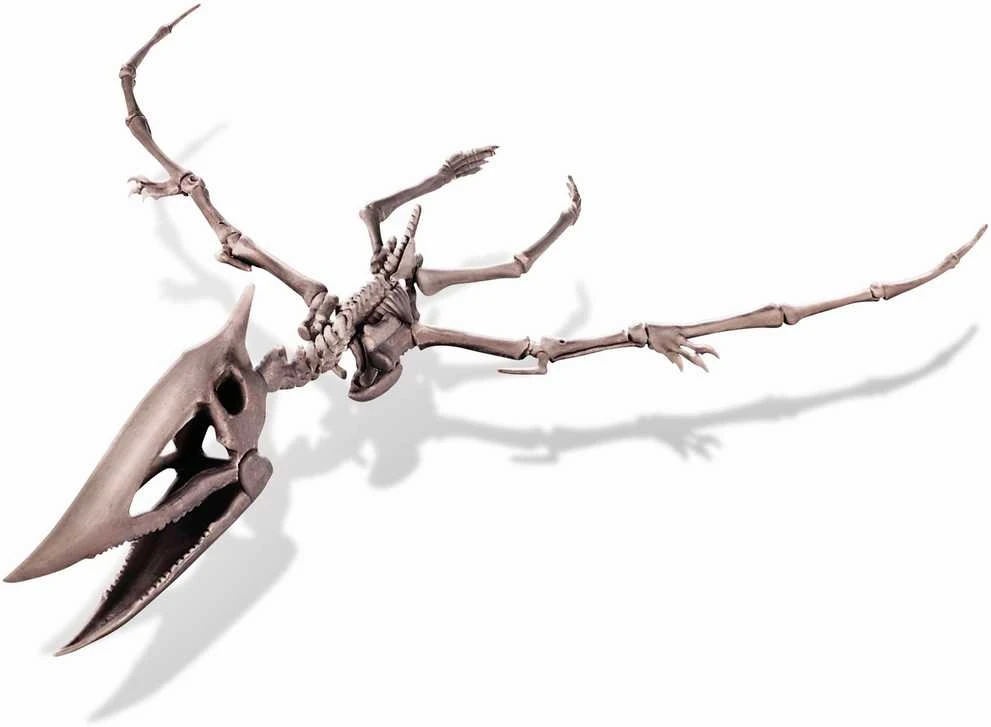 4M Kasinėjimų rinkinys „Pteranodonas"