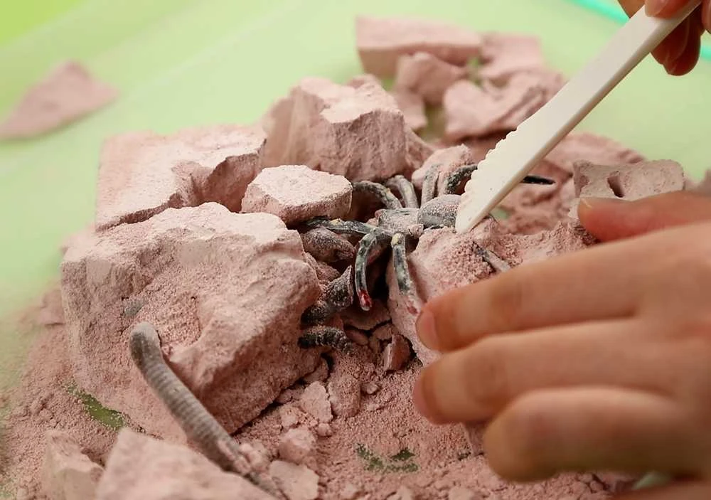 4M Vaikiška laboratorija: šiurpių ropojančių gyvių kasinėjimo rinkinys