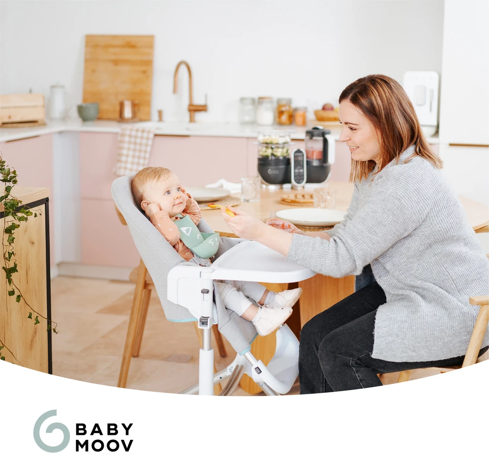 Daugiafunkcis virtuvės kombainas Babymoov Nutribaby(+) 6-in-1 (pilkas)