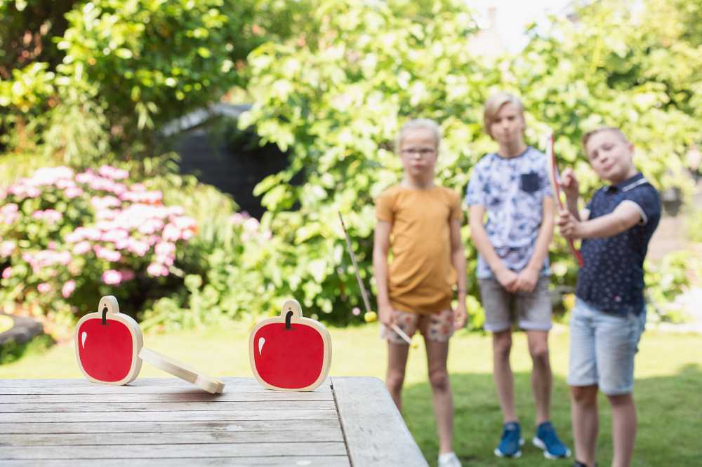 Bs Toys Medinis lankas su strėlėmis ir taikiniais