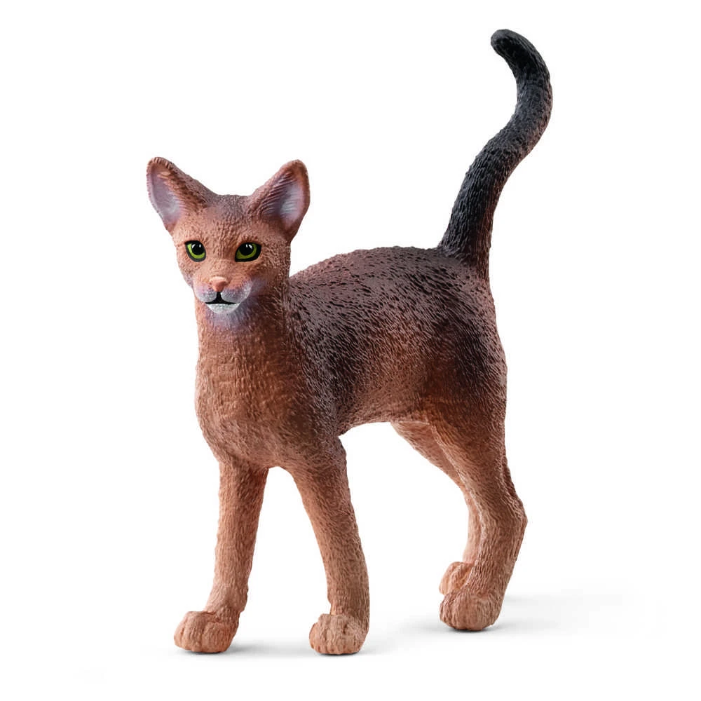 Schleich figūrėlė Abisinijos katė
