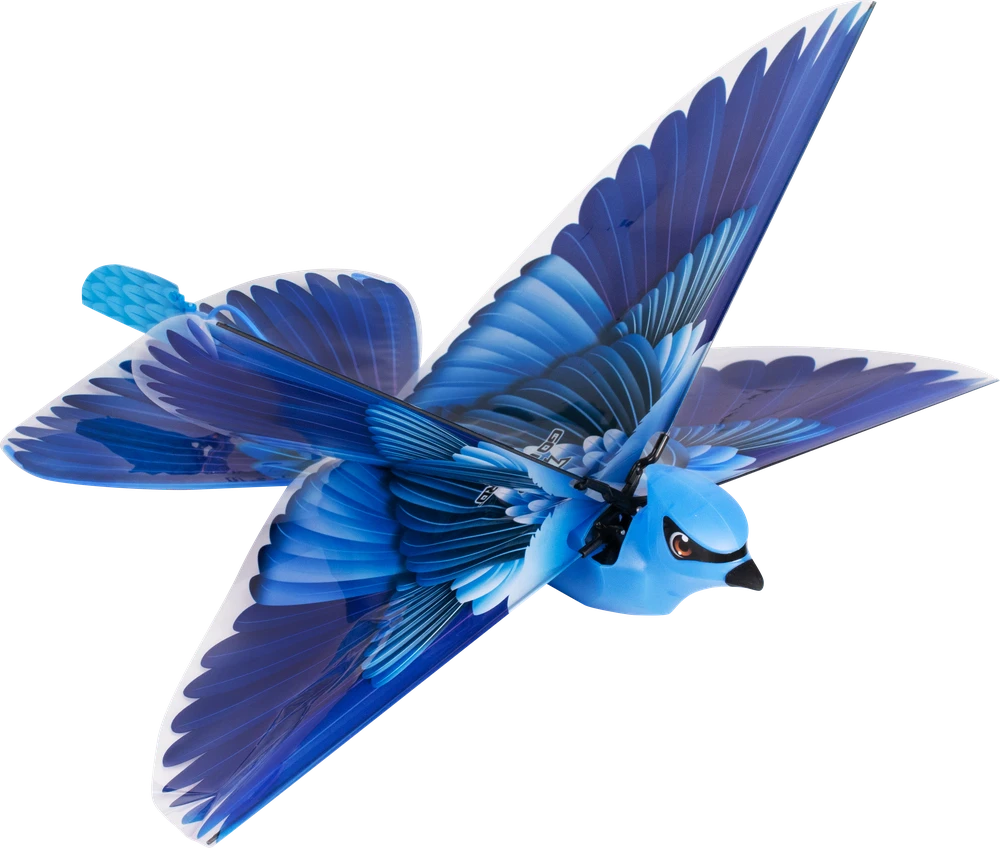 GO GO BIRD Interaktyvus paukščiukas