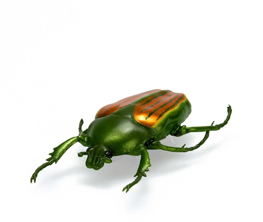 HEX BOTS Interaktyvūs nano gyviai, 5 vnt.