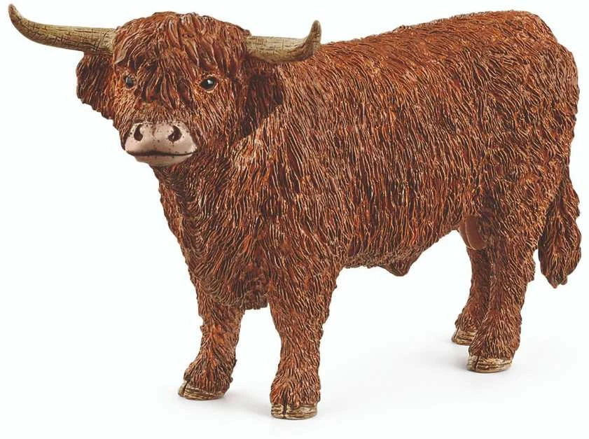 Schleich figūrėlė Aukštikalnių bulius
