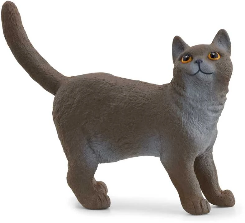Schleich figūrėlė Britų trumpaplaukė katė