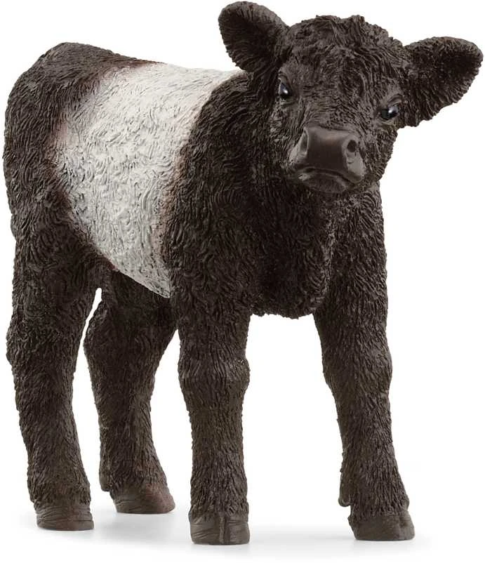 Schleich figūrėlė Galovėjaus veislės veršiukas