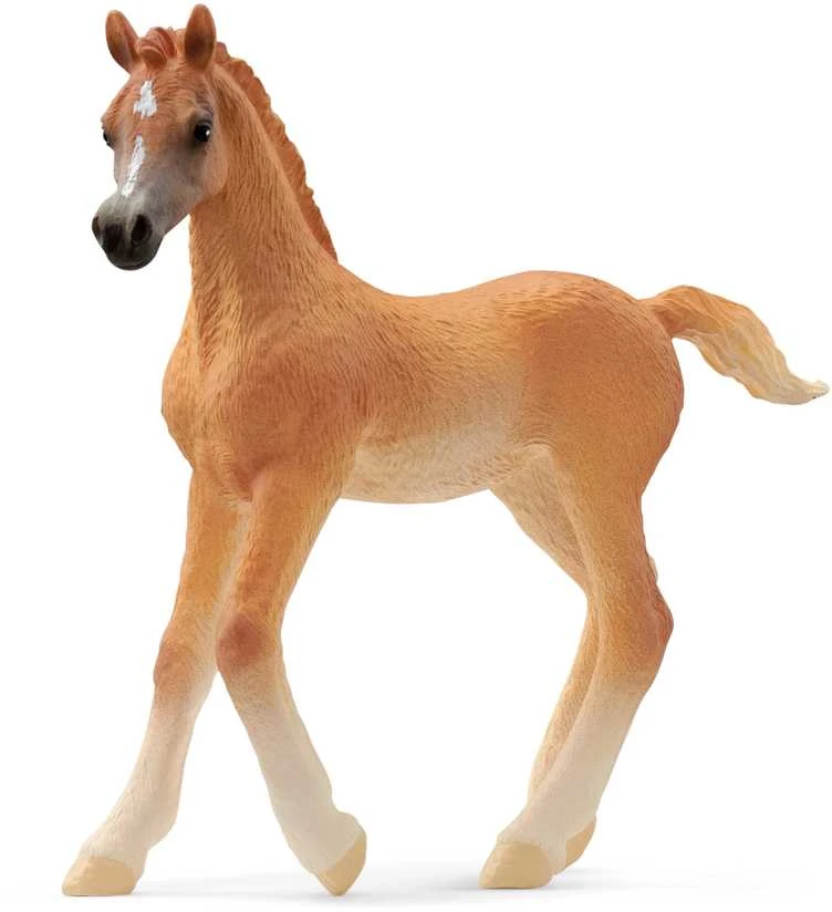 Schleich figūrėlė Arabų veislės kumeliukas