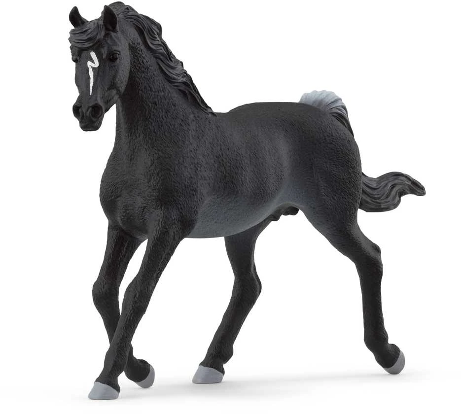 Schleich figūrėlė Arabų veislės žirgas