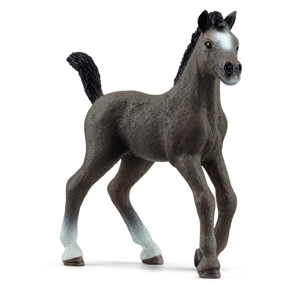 Schleich figūrėlė Cheval de Selle Francais veislės kumeliukas