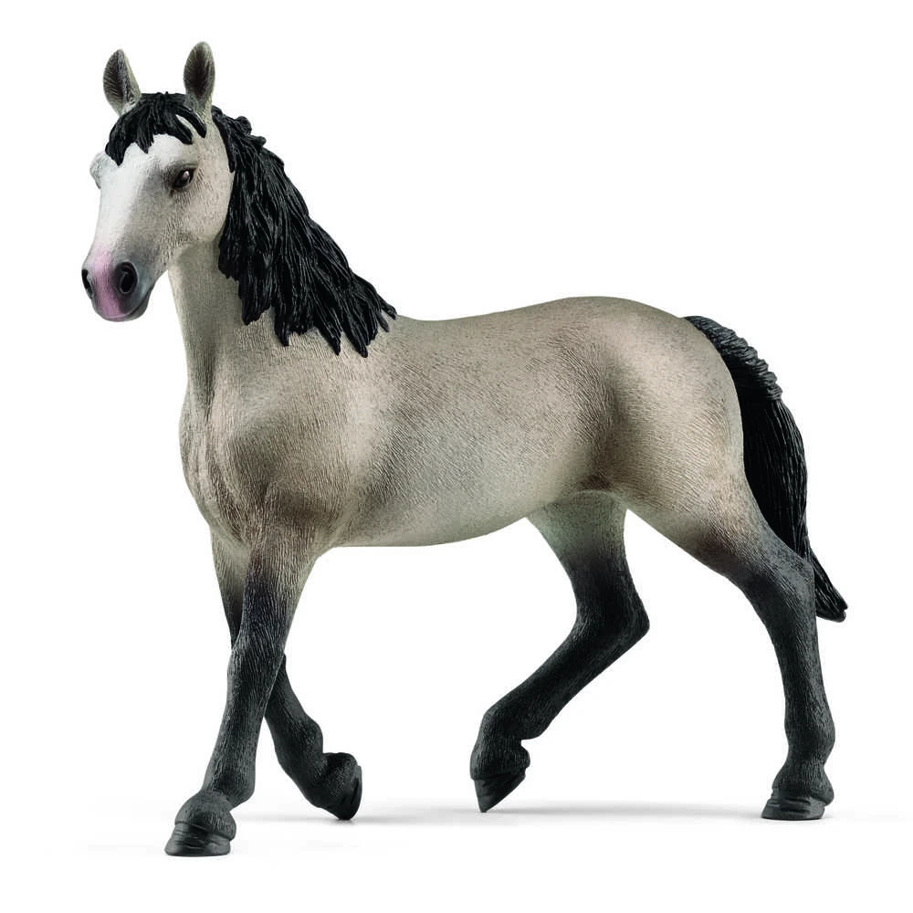 Schleich figūrėlė Cheval de Selle Francais veislės kumelė