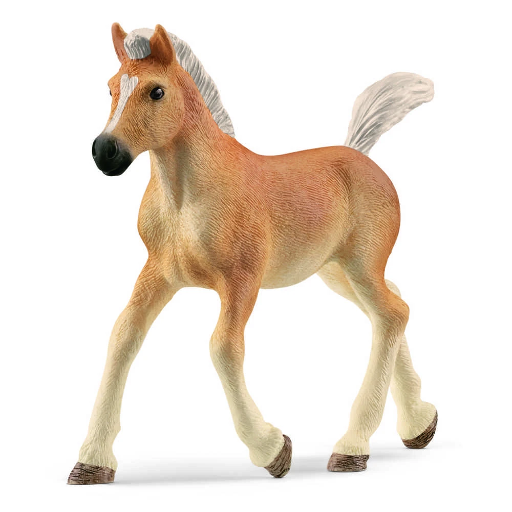 Schleich figūrėlė Haflinger veislės kumeliukas