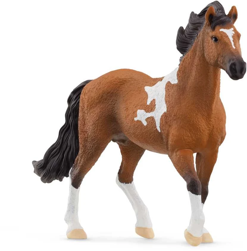 Schleich figūrėlė Mangalarga Marchador veislės žirgas