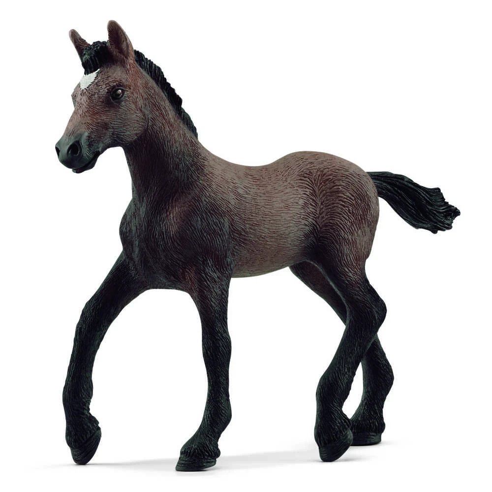 Schleich figūrėlė Paso Peruano veislės kumeliukas