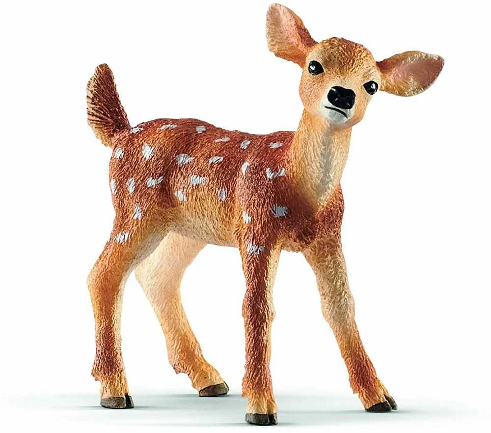 SCHLEICH figūrėlė Baltauodegio elnio mažylis
