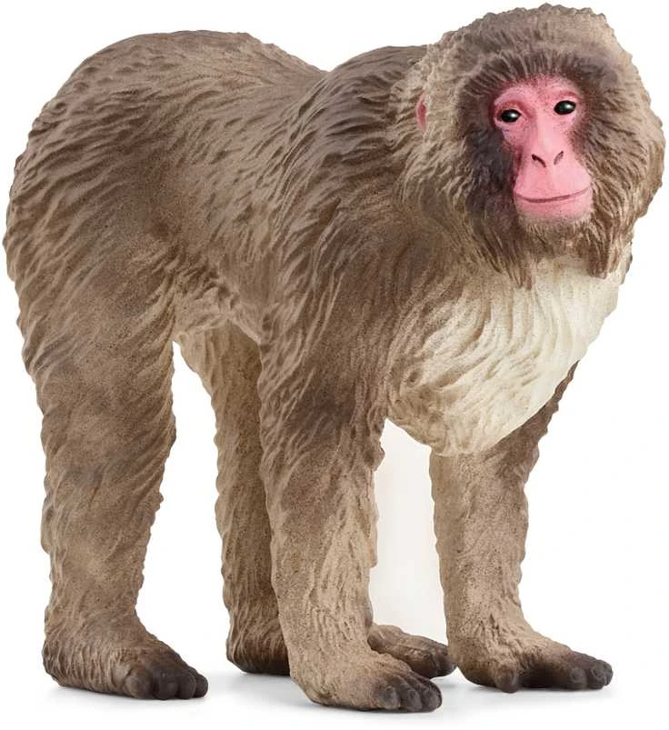 Schleich figūrėlė Japoninė makaka
