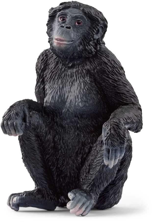 Schleich figūrėlė Mažoji šimpanzė