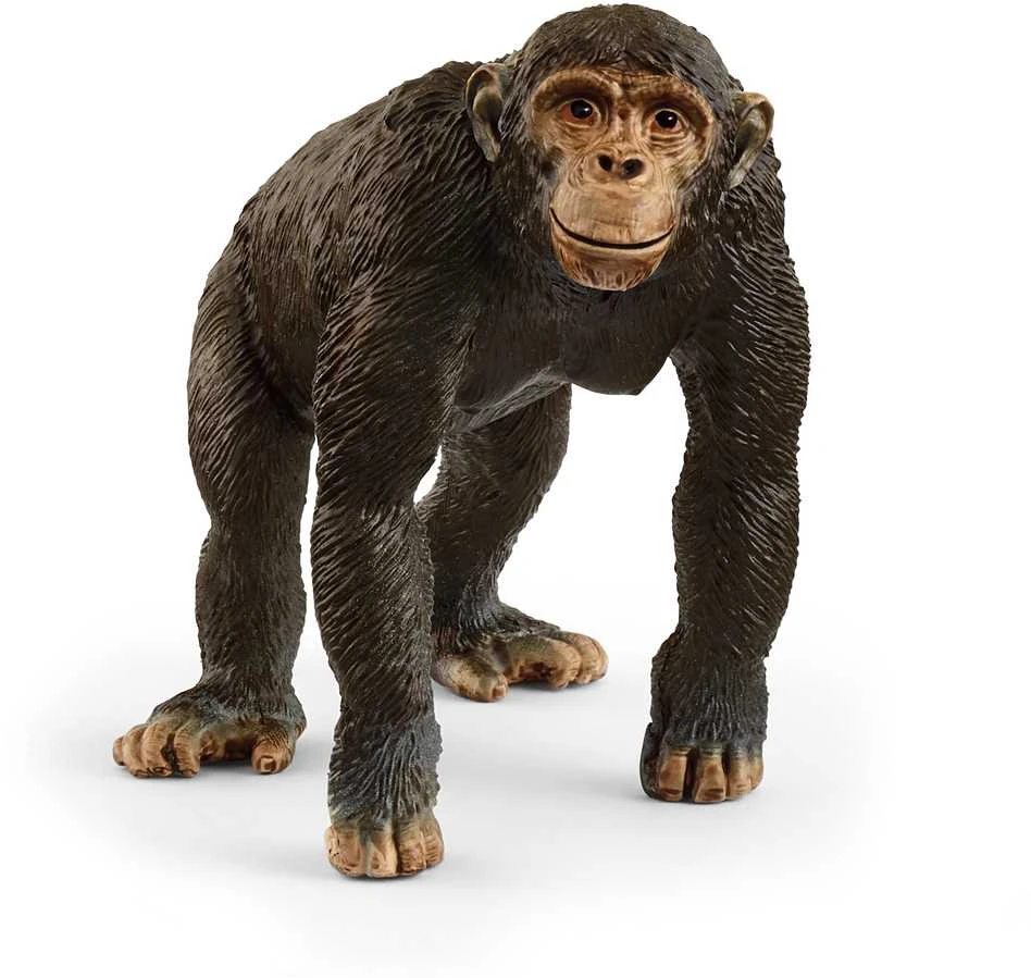 Schleich figūrėlė Šimpanzė