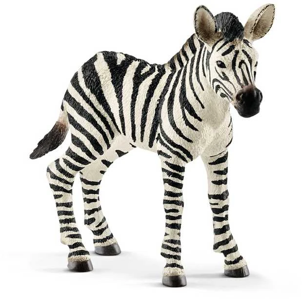 SCHLEICH „Wild Life“ figūrėlė Zebriukas