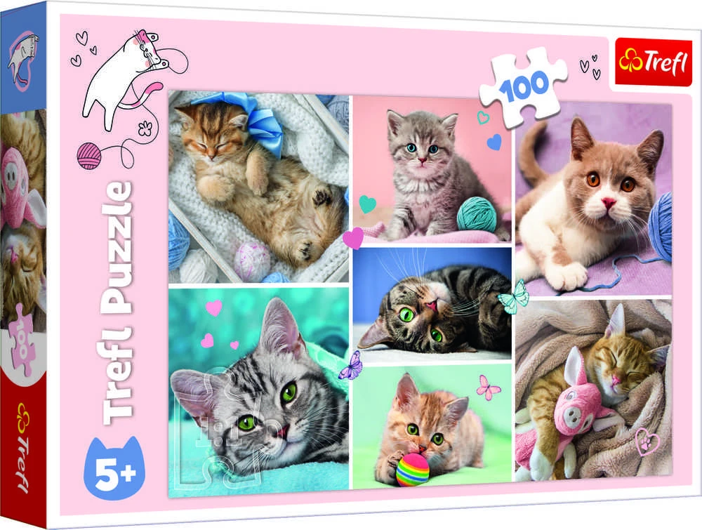 Trefl Dėlionė 100 vnt. - Kačių pasaulyje