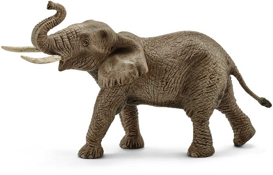 Schleich figūrėlė Afrikinio dramblio patinas