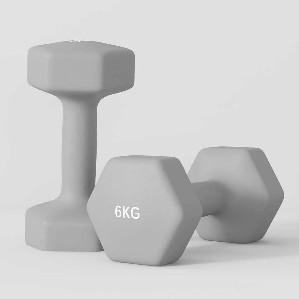 SPORTNOW 2 x 6kg hantelių rinkinys, šešiakampis dizainas, grindims saugus, neslystantis, pilkas