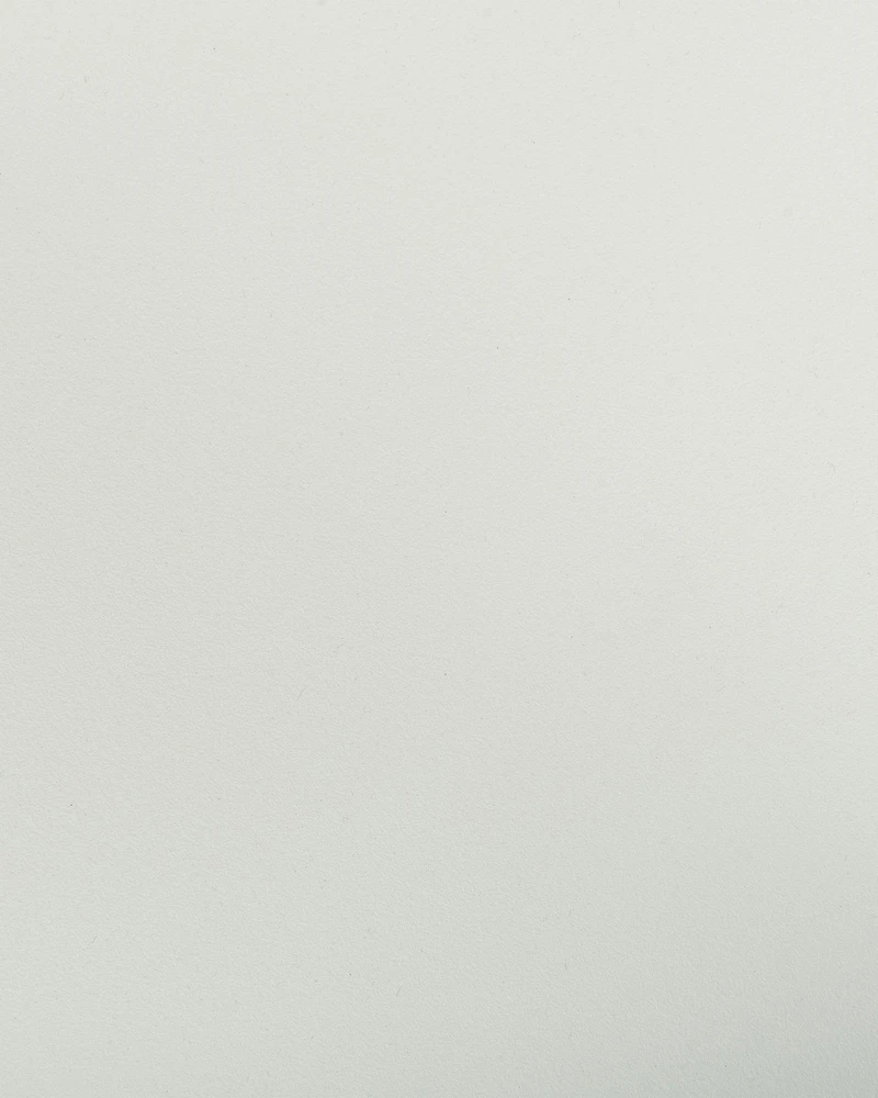 Beliani 2 valgomojo kėdžių komplektas SOMERS balta