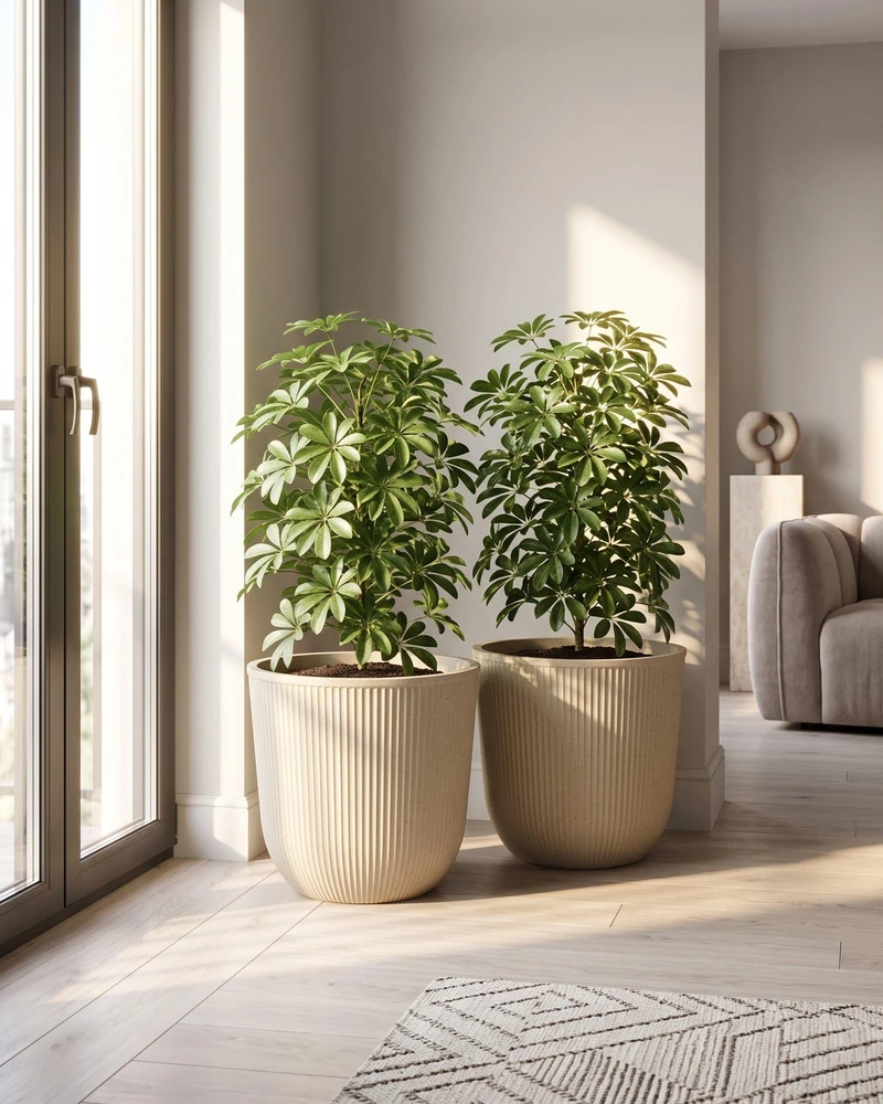 Beliani 2 vazonų rinkinys DRABA 44 cm smėlio spalvos