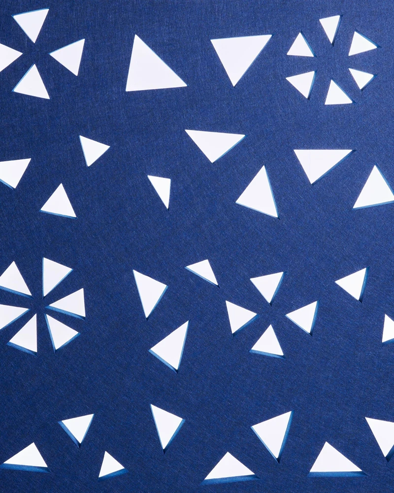 Beliani Biuro pertvara STARRY 240 × 180 cm, tamsiai mėlyna