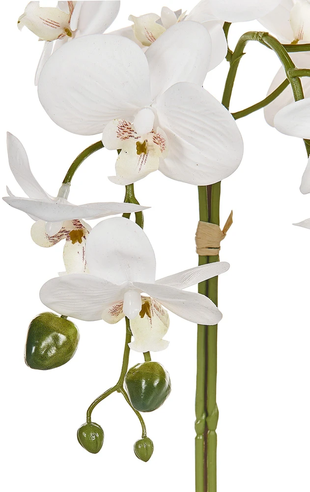 Beliani Dirbtinė gėlė ORCHID 42 cm balta