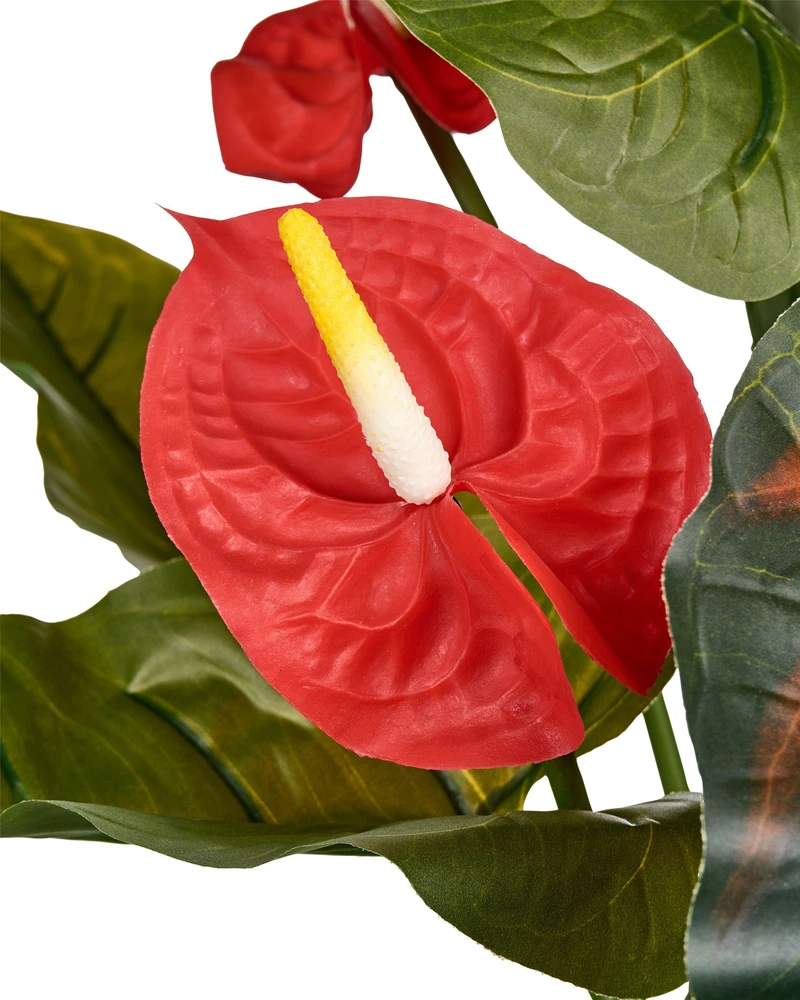 Beliani Dirbtinis augalas ANTHURIUM 95 cm, žalias