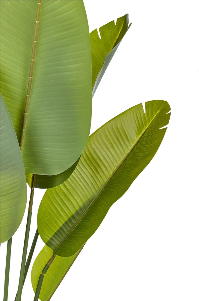 Beliani Dirbtinis augalas BANANA TREE 187 cm žalias